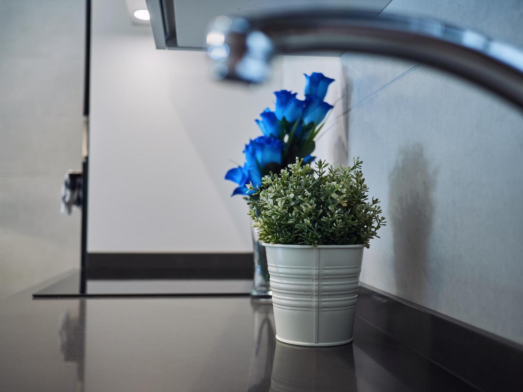 Amara Prime San Sebastian Apartment Ngoại thất bức ảnh